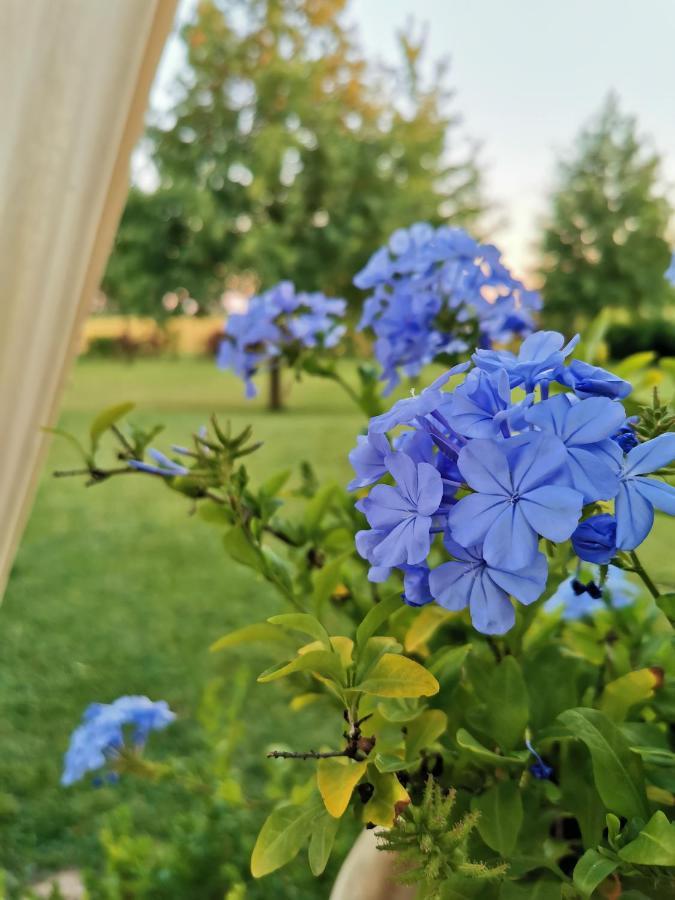 B&B Casazze Dream Marcaria Kültér fotó